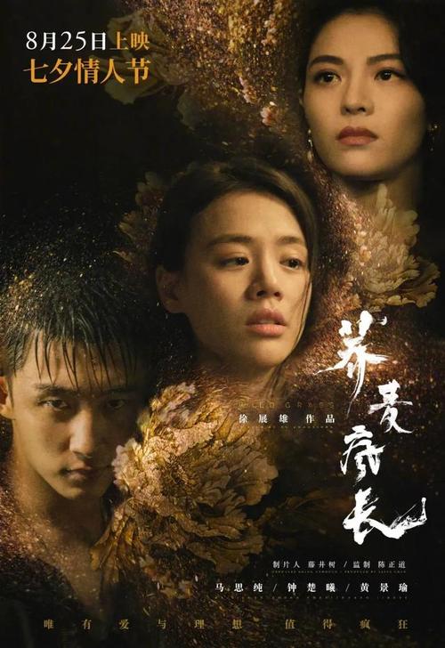 买个假的明尼苏达州ID
